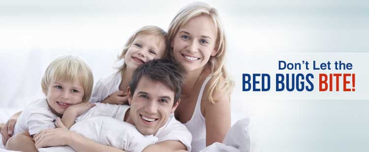 Denver Bed Bug Exterminator