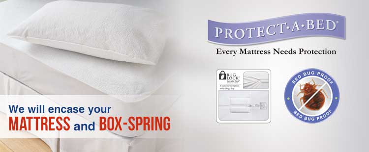 Bed Bug Exterminator