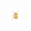 Bed bug 1st instar unfed